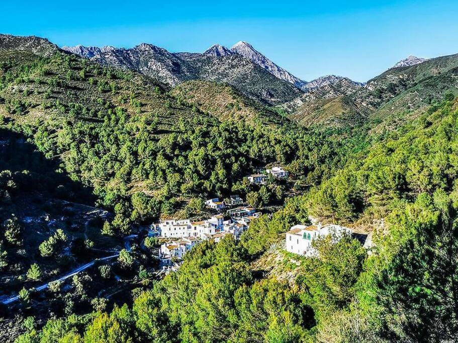Millers Boutique Apartment Frigiliana Exteriör bild